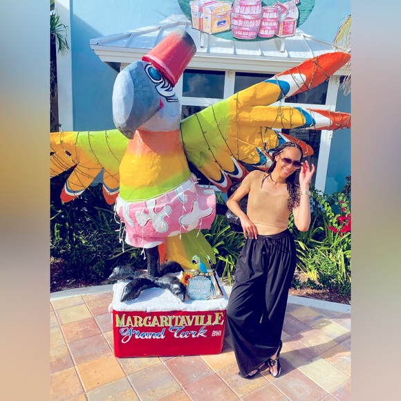 Meet your Posher, Posh - Picture 1 of 1